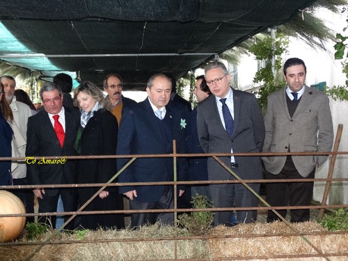 Feira do Queijo Em Seia !!! 283.jpg