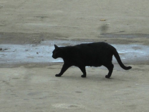 IMG_6358.JPG IMG_6358.JPG