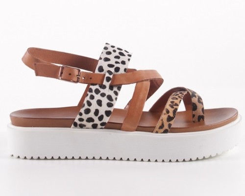 dropp 65.99 (prof).jpg