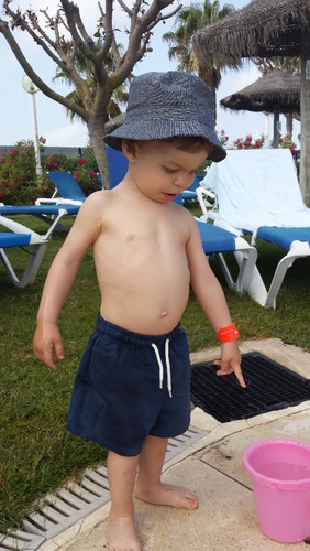 20150609_100830.jpg 20150609_100830.jpg