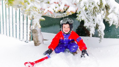 IMG_20180330_170846826.jpg IMG_20180330_170846826.jpg