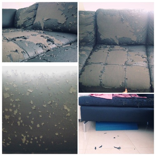 IMG_3243.JPG IMG_3243.JPG