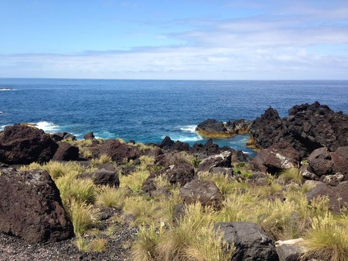 ponta da ferraria.jpg