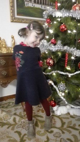 IMG_20171229_140640.jpg IMG_20171229_140640.jpg