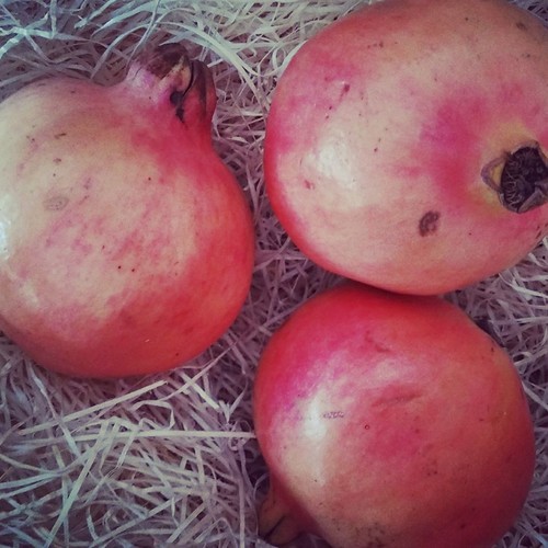 21558774_967137263426035_5560893451850405299_n.jpg 21558774_967137263426035_5560893451850405299_n.jpg