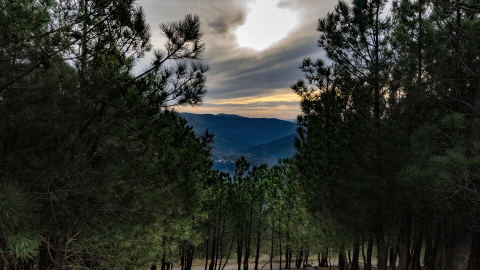 Miradouro Fiscal de Ermelo5.jpg