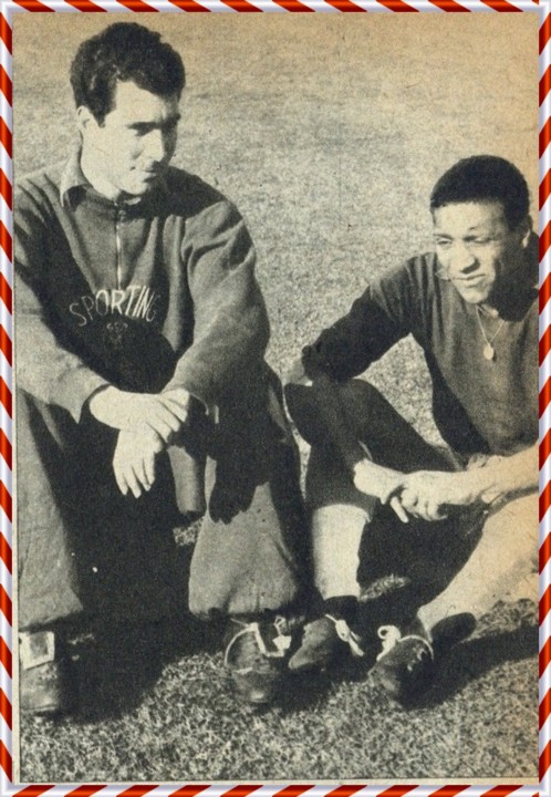 mum treino da selacção com o fato de treino do s