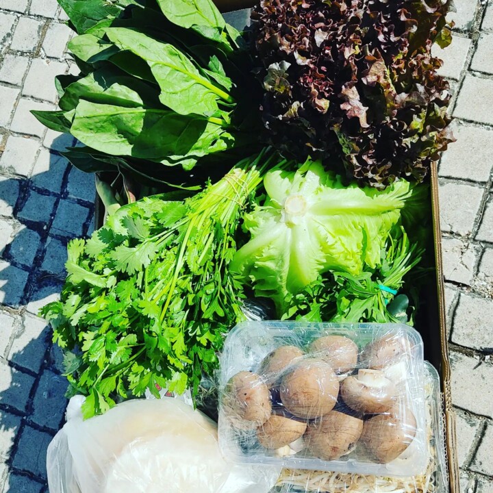 302510582_2397593277047086_5286821189963407085_n.j