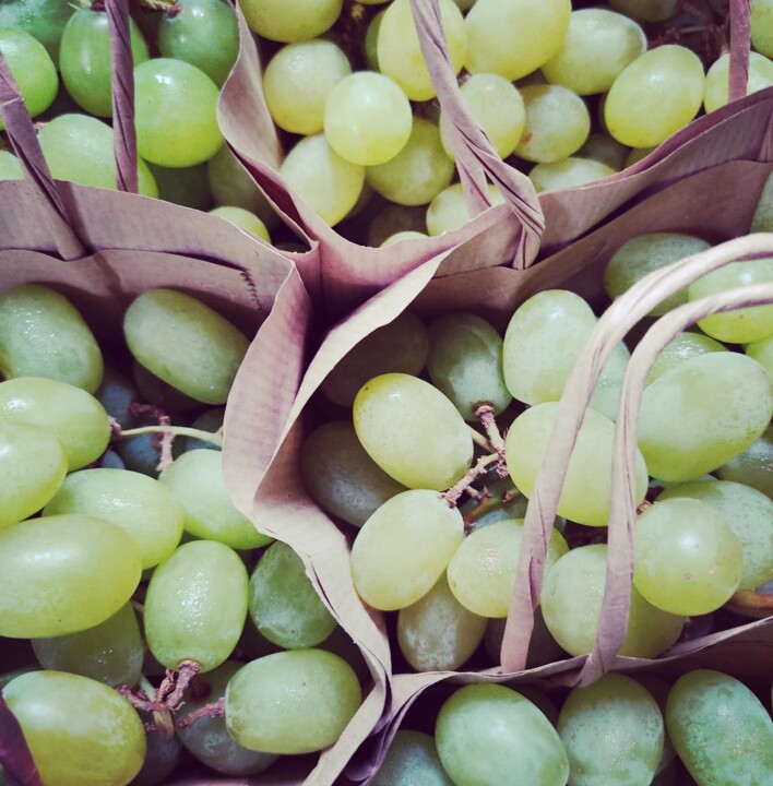 462111277_18437300425066958_5984239957254152094_n.