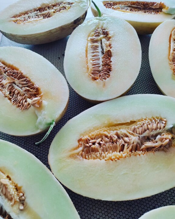 374691321_687661823391231_3986107852302075168_n.jp