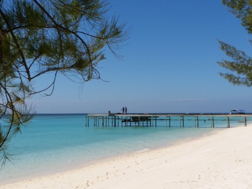 20190209_105908.jpg 20190209_105908.jpg