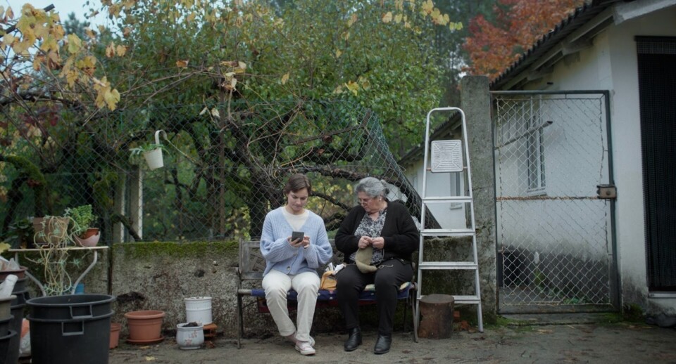 descarregar (13).jpg