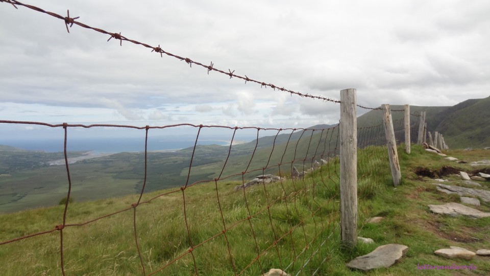 DSC07227.JPG DSC07227.JPG