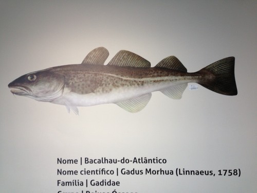 bacalhau.jpg