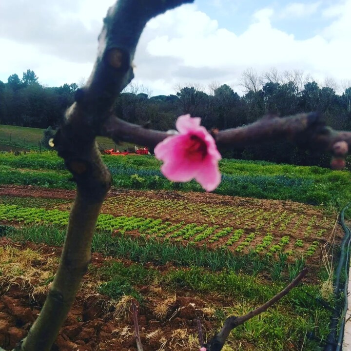 429652838_789368709887208_7020476793599934840_n.jp