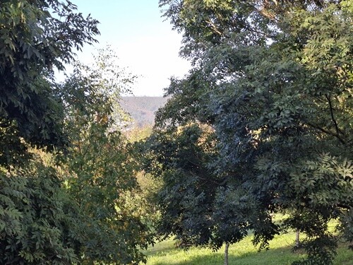 02a_Vale_de_Cambra (9).jpg