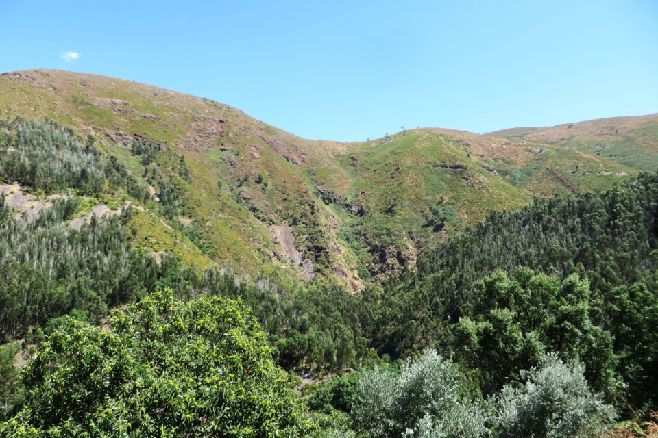 IMG_3445.JPG IMG_3445.JPG