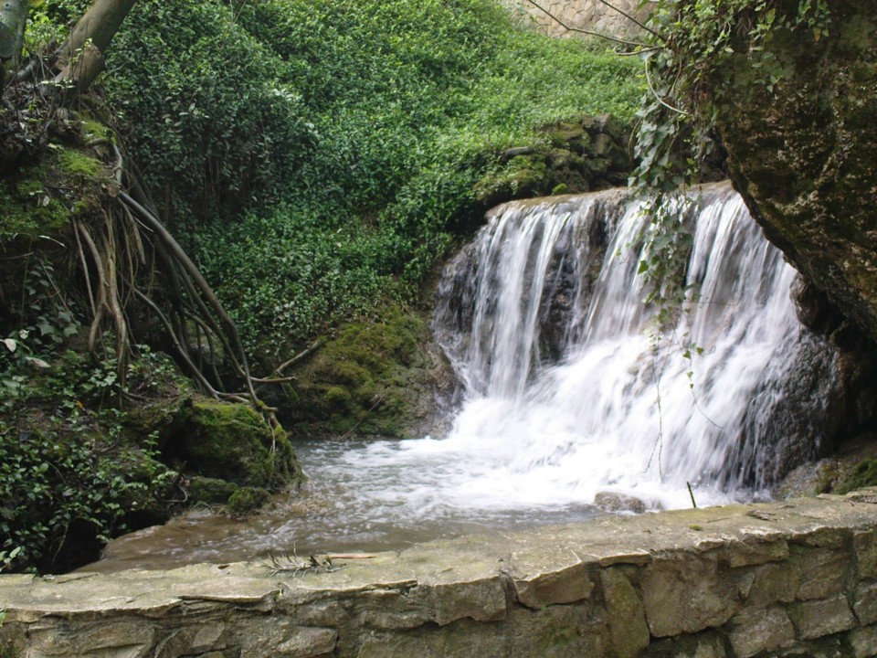 DSC02380.JPG DSC02380.JPG