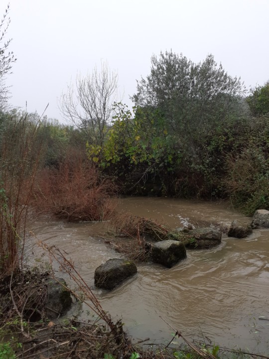 Passadeiras Porcosunho. Foto original. 2021.10.31.jpg