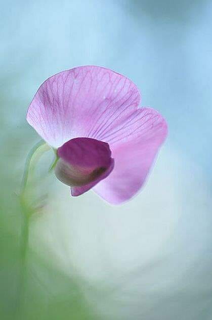 416894502_894974542000809_4528309629284859072_n.jp