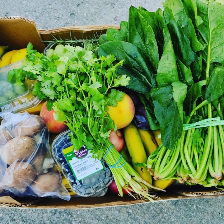 240744371_2116212931851790_8589150285144210882_n.j