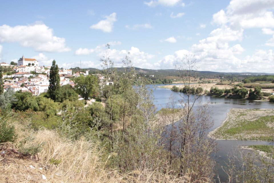 _MG_7904.JPG