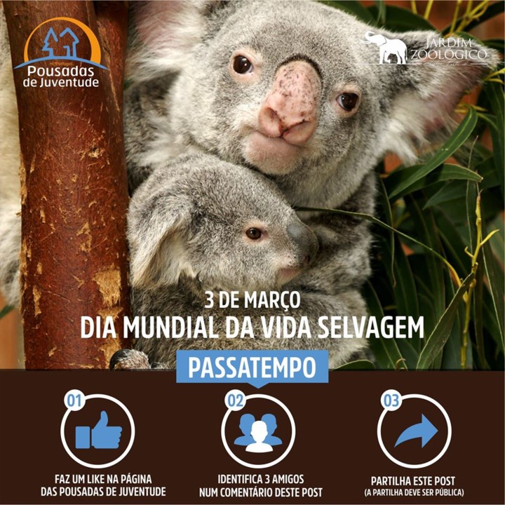 87871674_10157452906539877_4237561922762833920_o.j