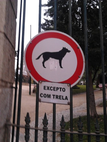 2017-01-02 15.42.26.jpg