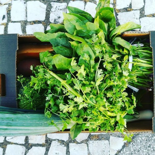 35376897_1114688735337553_7648655787111219200_n.jp