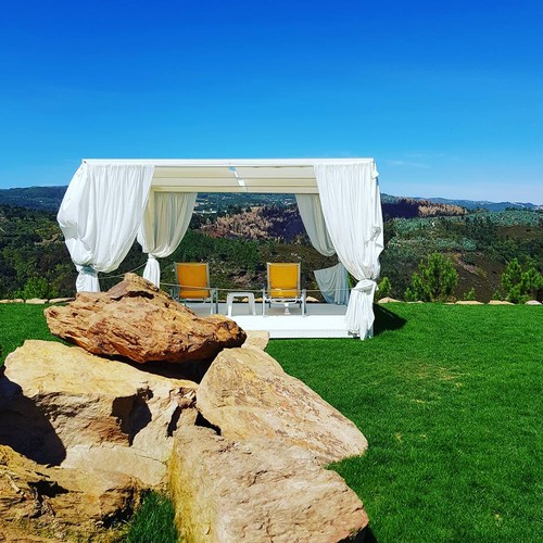 21369075_1769144106459630_7177077264317380867_n.jp