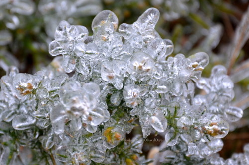 A Mãe natureza a caprichar _Rui Jorge Pires A Mãe natureza a caprichar _Rui Jorge Pires