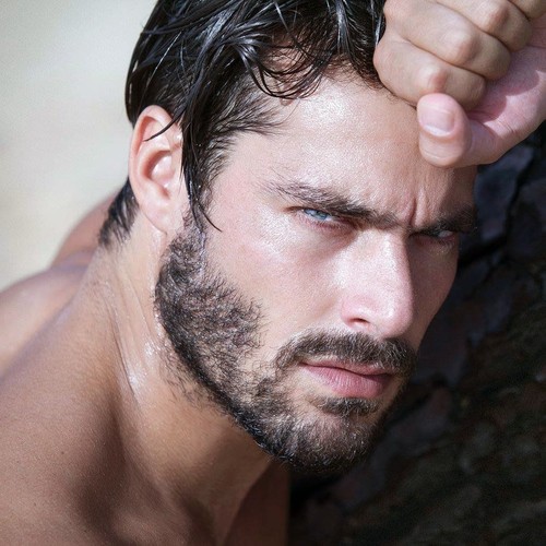 10604587_10152511578023543_2679121406228954222_o.j