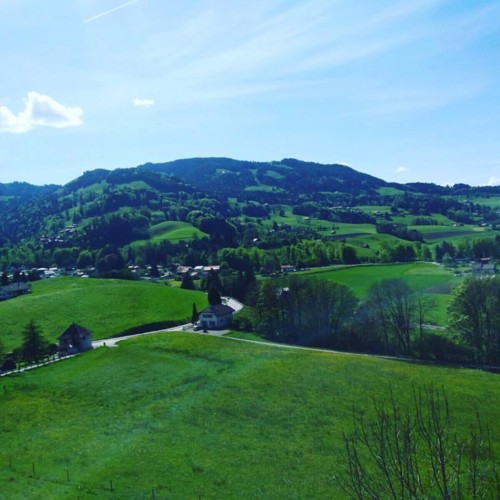 18527847_1447822861906142_2770066882583172666_n.jp