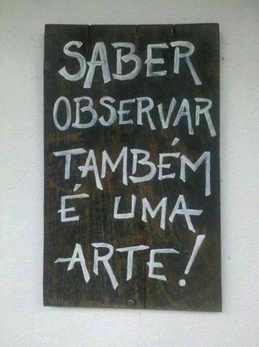 Observar também é uma arte