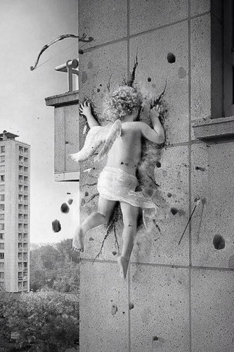 IMG_0344.JPG IMG_0344.JPG