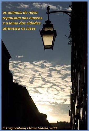 10464072_1484773198434780_4279045563078934860_n.jp