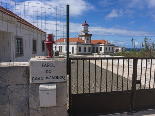 _DSC6616.jpg _DSC6616.jpg