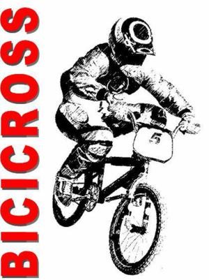 bicicross.jpg