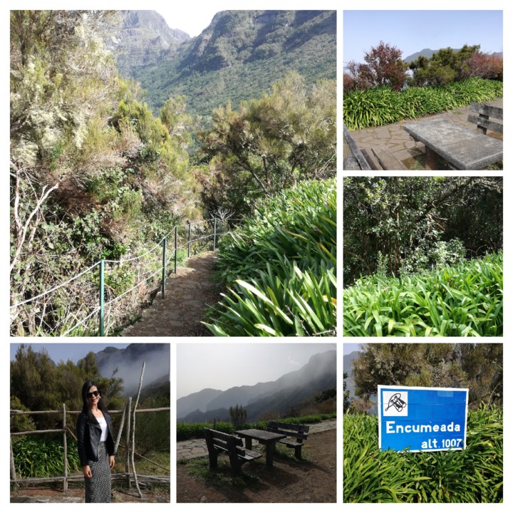 IMG_20200225_145904-COLLAGE.jpg IMG_20200225_145904-COLLAGE.jpg