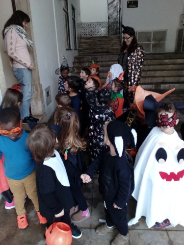 IMG_20181031_103247.jpg IMG_20181031_103247.jpg