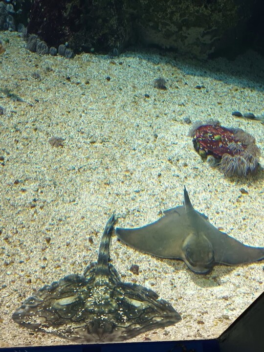 Não me canso disto Corunha 2.jpg