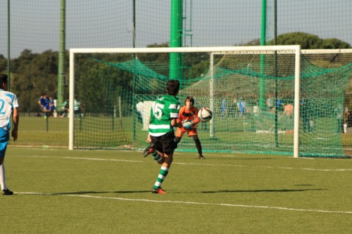 21226833_09GN8.jpeg 21226833_09GN8.jpeg