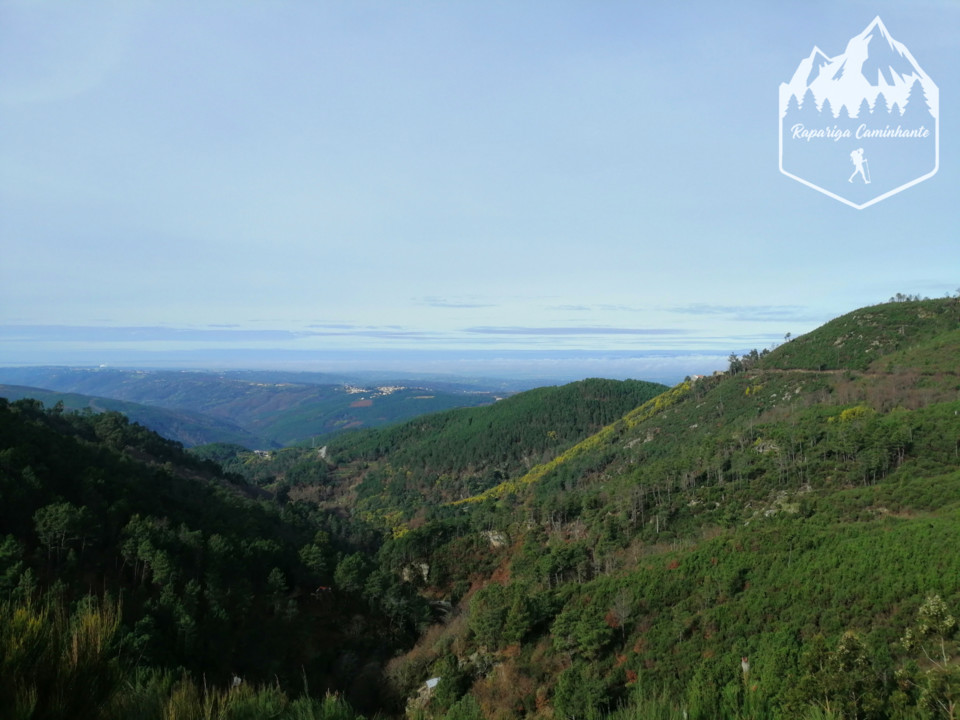 Photo_1582917551927.jpg Photo_1582917551927.jpg