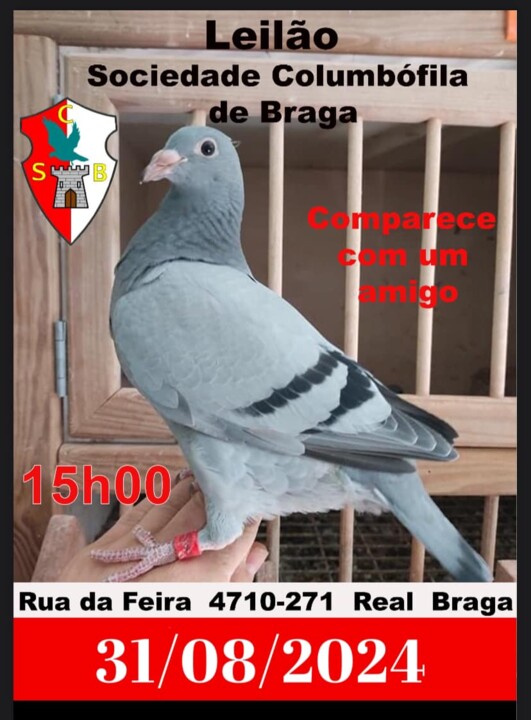 Leilão Braga.jpg