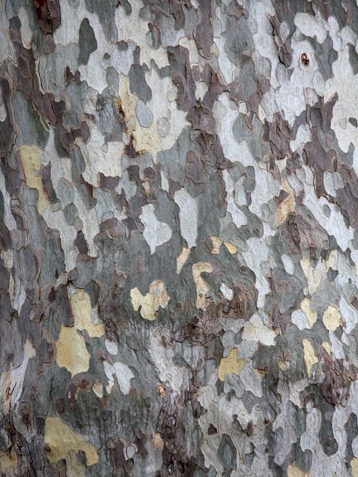 Férias 2012 - Portugal dos Pequenitos 056.JPG Férias 2012 - Portugal dos Pequenitos 056.JPG