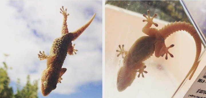 119105160_1723816757769220_4036056506344353268_o.j