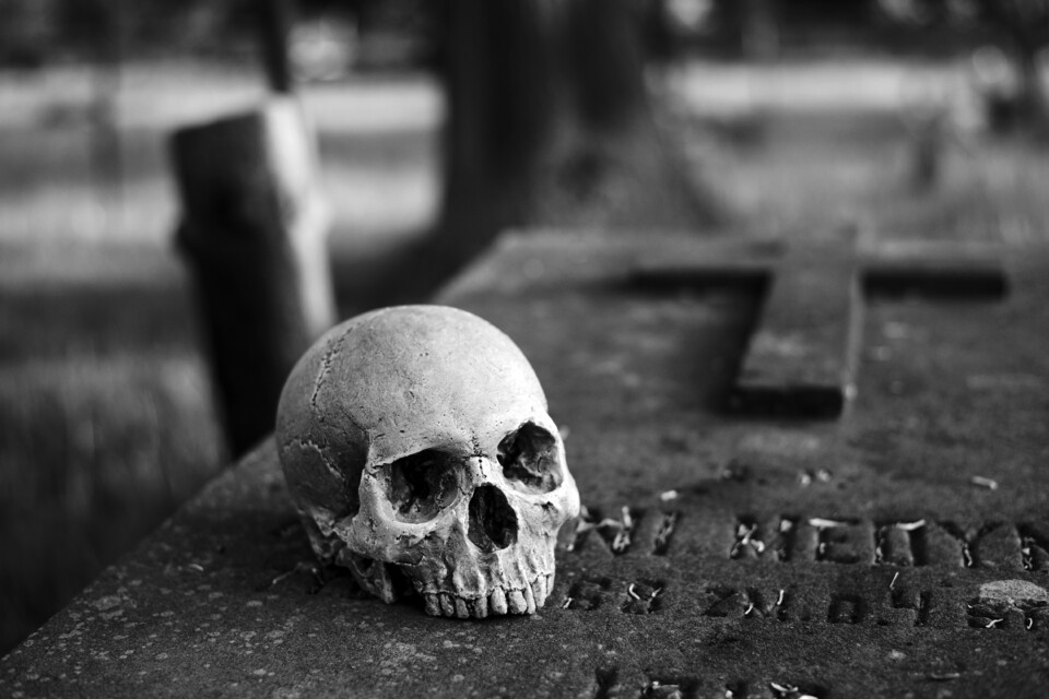 Human Skull At Graveyard.jpg