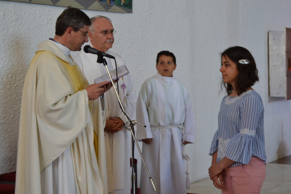 DSC_1686.JPG DSC_1686.JPG