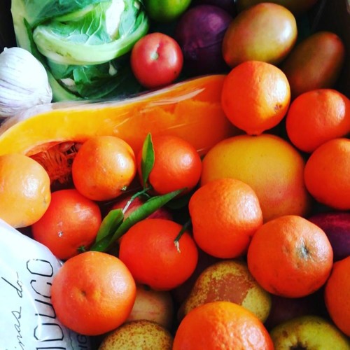 51499415_1298621413610950_3283051264232914944_n.jp