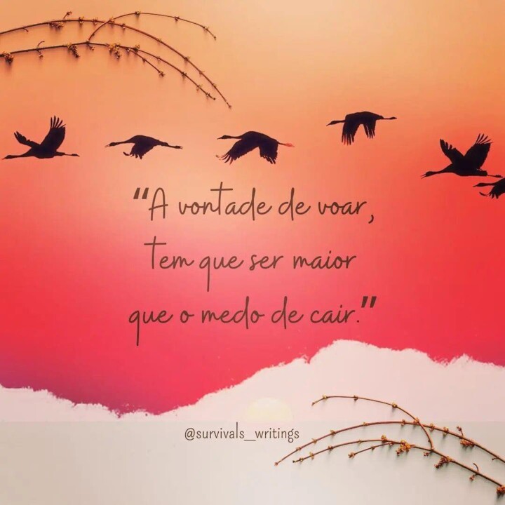 Pensamento do dia!